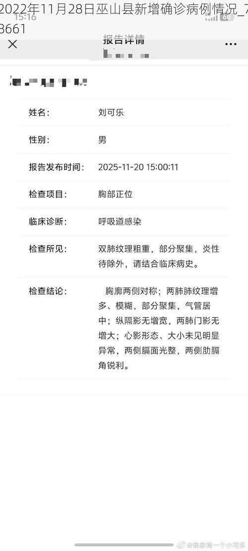 2022年11月28日巫山县新增确诊病例情况_78661