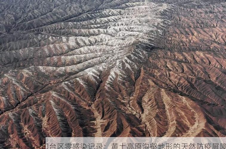 印台区零感染记录：黄土高原沟壑地形的天然防疫屏障