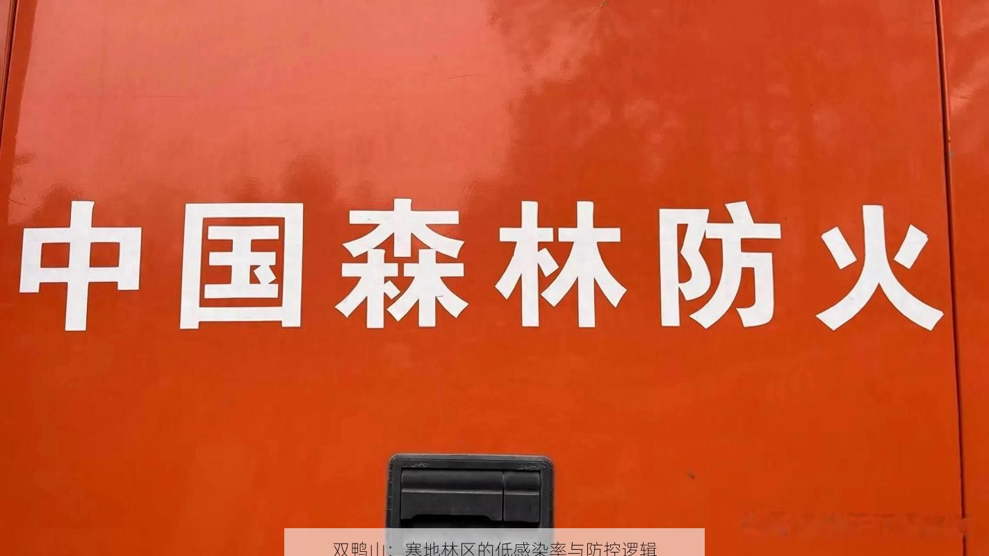 双鸭山：寒地林区的低感染率与防控逻辑