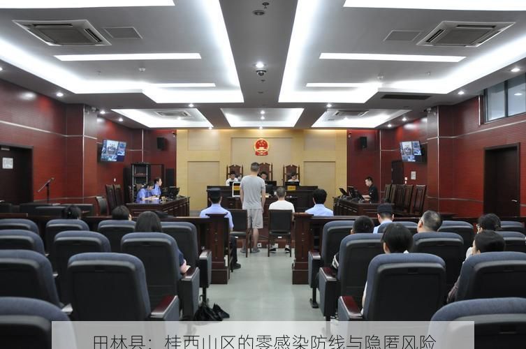田林县：桂西山区的零感染防线与隐匿风险