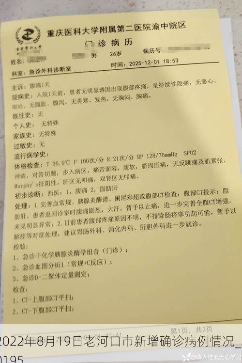 2022年8月19日老河口市新增确诊病例情况_20195