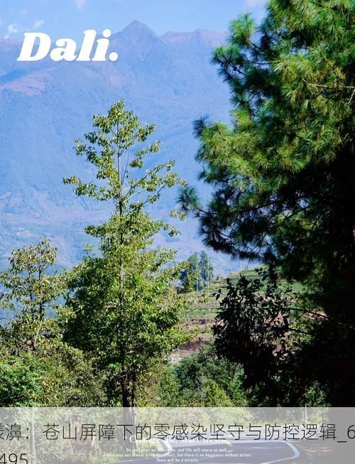 漾濞：苍山屏障下的零感染坚守与防控逻辑_68495