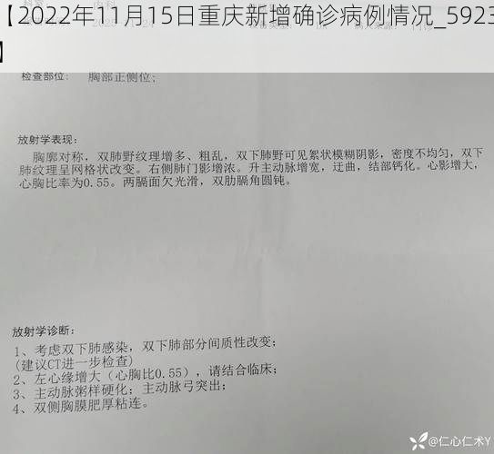 【2022年11月15日重庆新增确诊病例情况_5923】