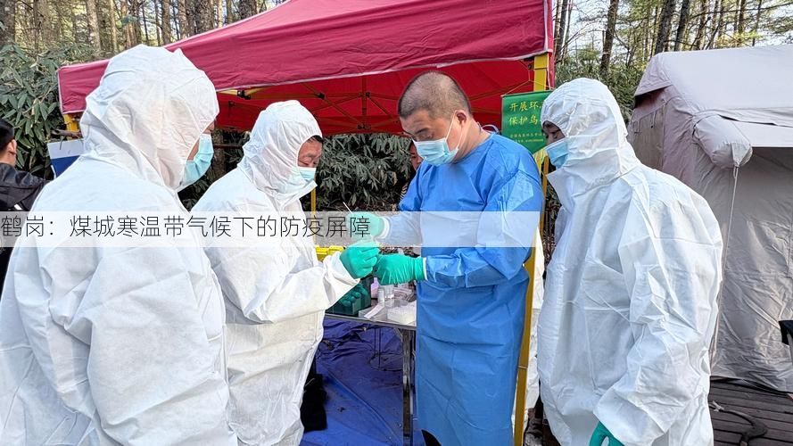 鹤岗：煤城寒温带气候下的防疫屏障
