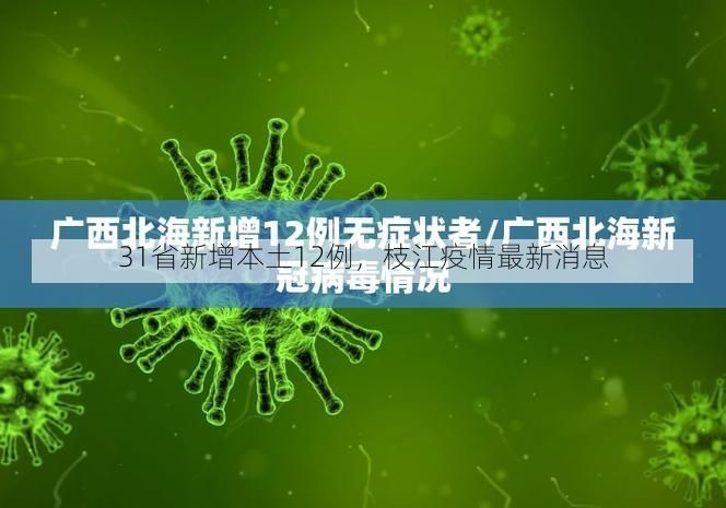 31省新增本土12例，枝江疫情最新消息