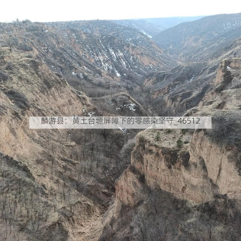 麟游县：黄土台塬屏障下的零感染坚守_46512
