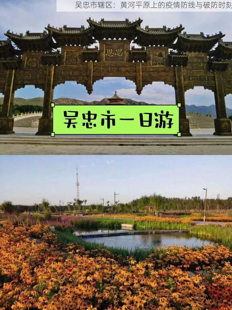 吴忠市辖区：黄河平原上的疫情防线与破防时刻