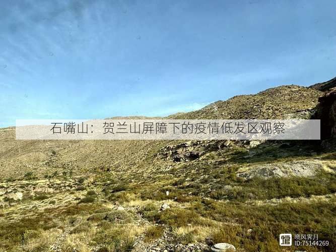 石嘴山：贺兰山屏障下的疫情低发区观察