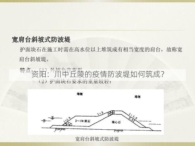 资阳：川中丘陵的疫情防波堤如何筑成？