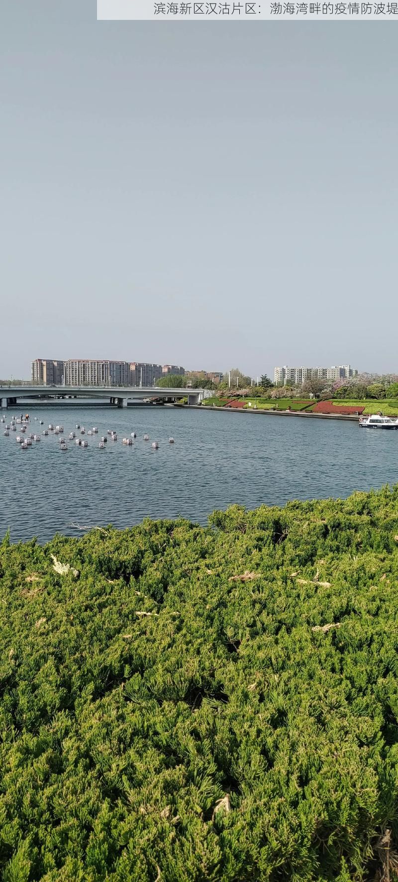 滨海新区汉沽片区：渤海湾畔的疫情防波堤