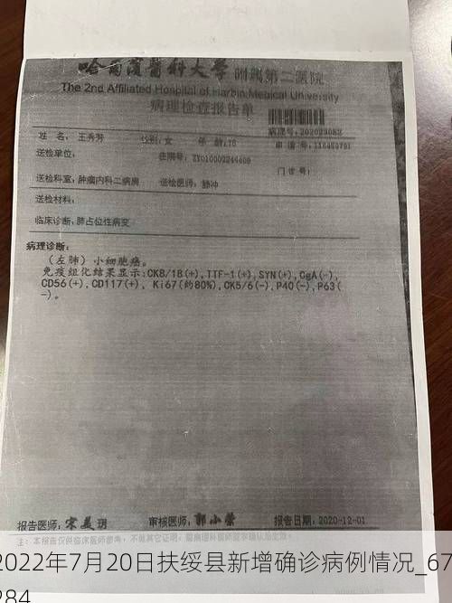 2022年7月20日扶绥县新增确诊病例情况_67284