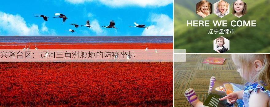 兴隆台区：辽河三角洲腹地的防疫坐标