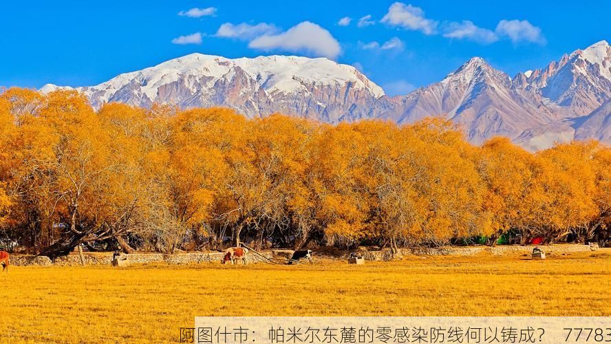 阿图什市：帕米尔东麓的零感染防线何以铸成？_77783