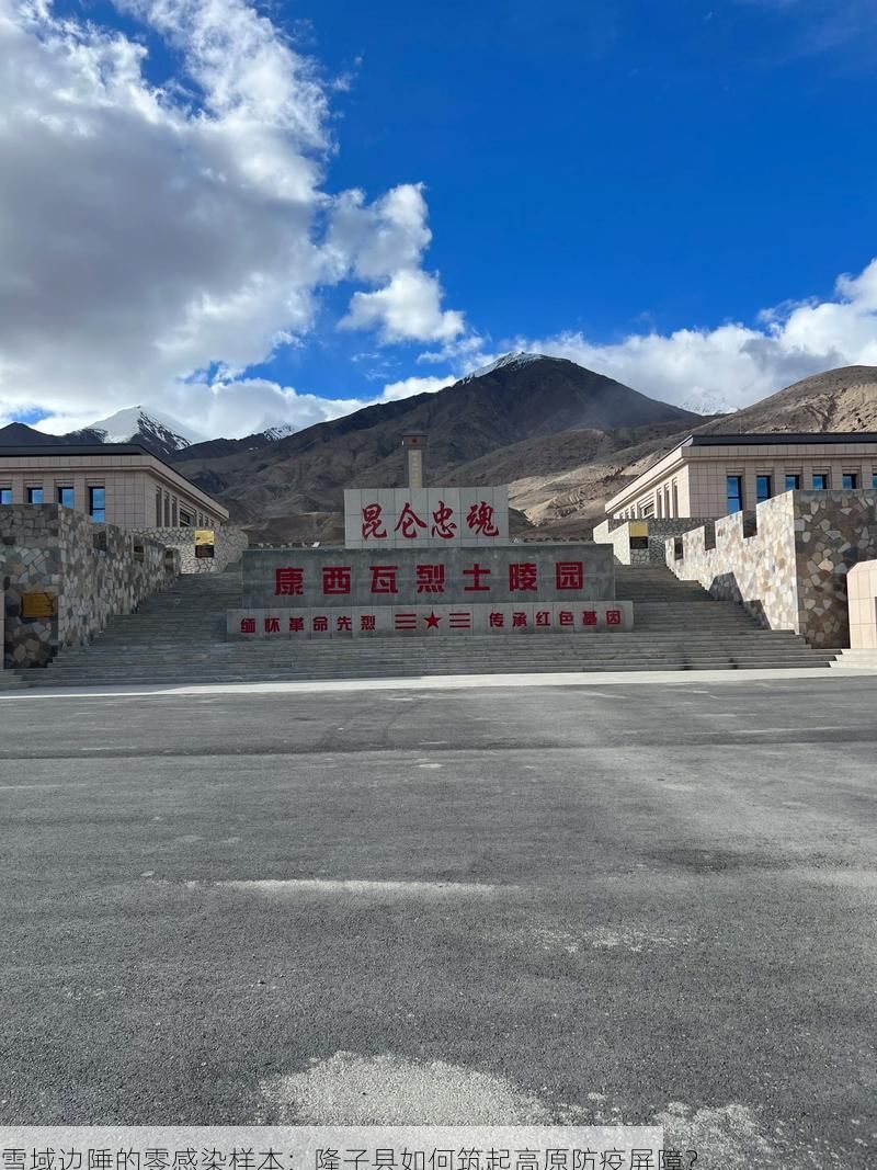 雪域边陲的零感染样本：隆子县如何筑起高原防疫屏障？