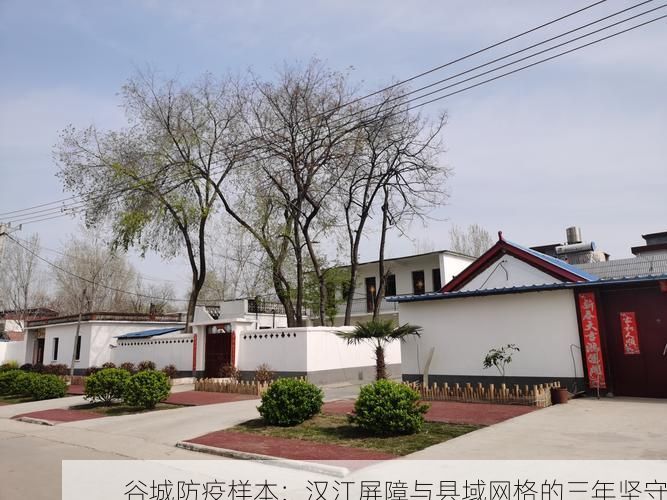 谷城防疫样本：汉江屏障与县域网格的三年坚守