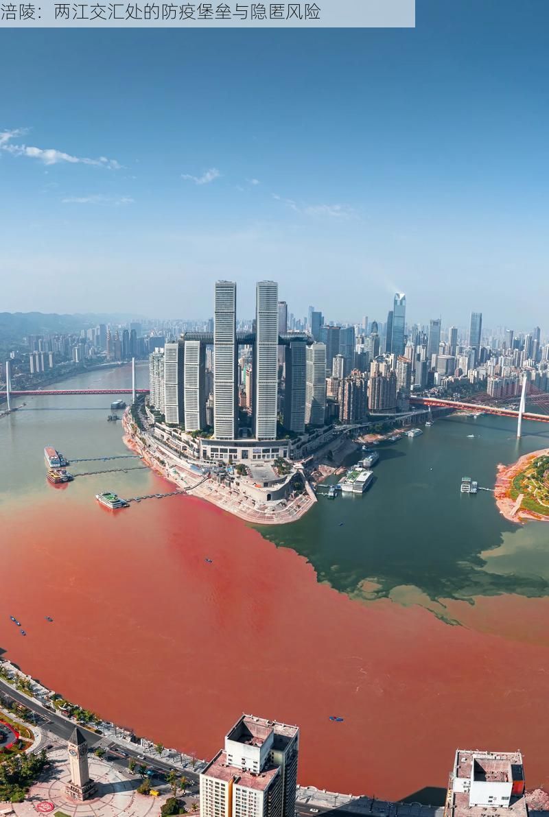 涪陵：两江交汇处的防疫堡垒与隐匿风险