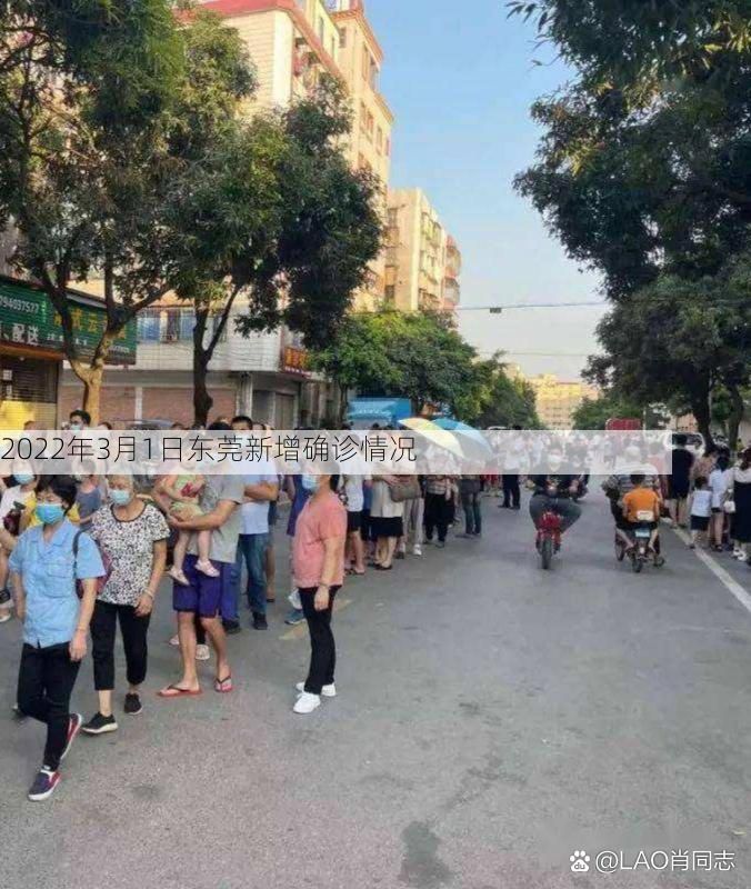 2022年3月1日东莞新增确诊情况