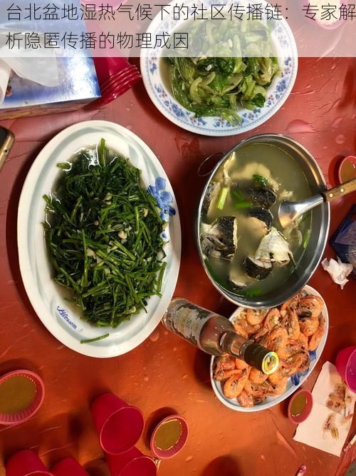 台北盆地湿热气候下的社区传播链：专家解析隐匿传播的物理成因