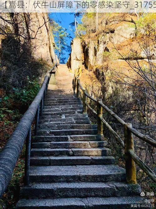 【嵩县：伏牛山屏障下的零感染坚守_31755】