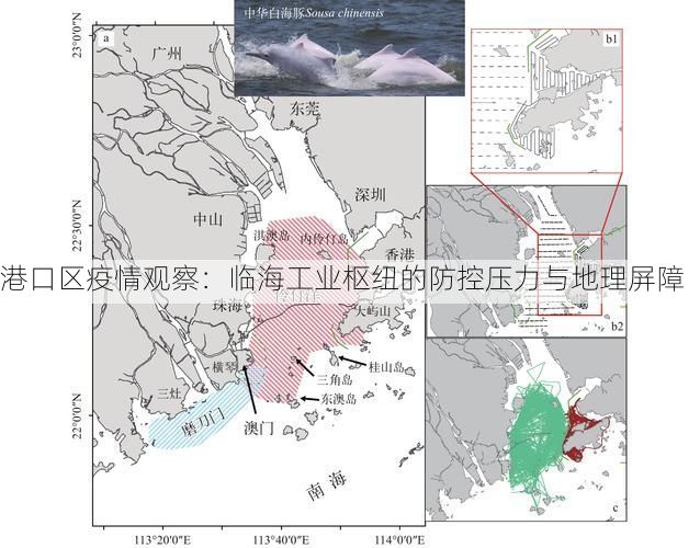 港口区疫情观察：临海工业枢纽的防控压力与地理屏障