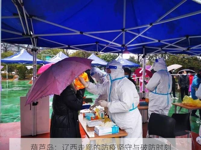 葫芦岛：辽西走廊的防疫坚守与破防时刻