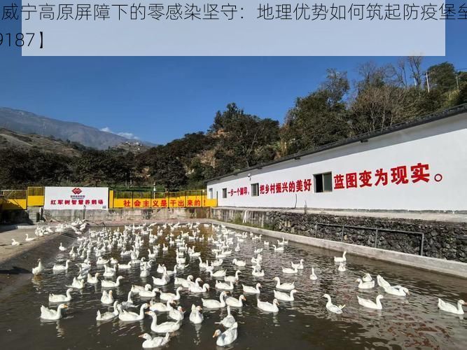【威宁高原屏障下的零感染坚守：地理优势如何筑起防疫堡垒_69187】