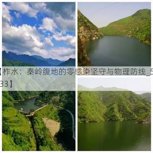 【柞水：秦岭腹地的零感染坚守与物理防线_57633】