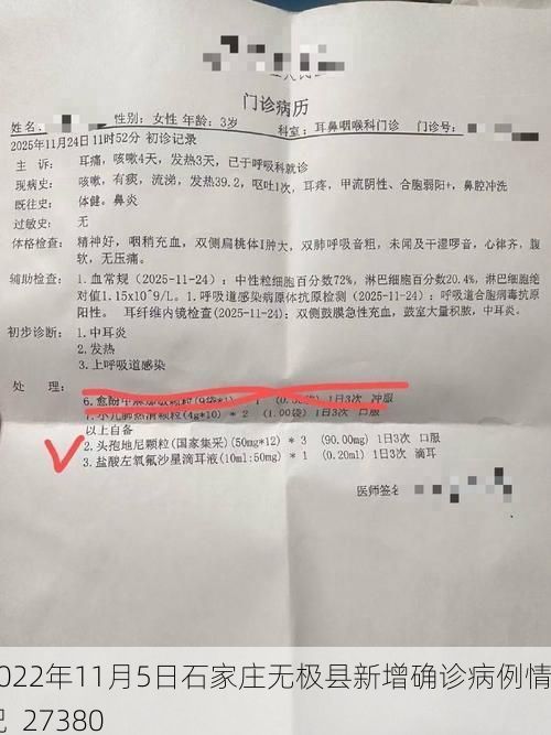 2022年11月5日石家庄无极县新增确诊病例情况_27380