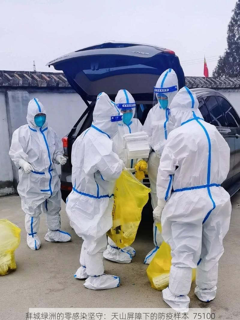 拜城绿洲的零感染坚守：天山屏障下的防疫样本_75100