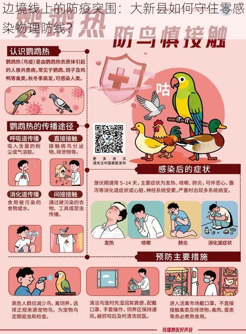 边境线上的防疫突围：大新县如何守住零感染物理防线？