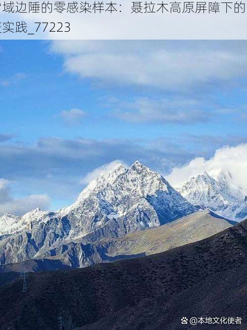 雪域边陲的零感染样本：聂拉木高原屏障下的防疫实践_77223