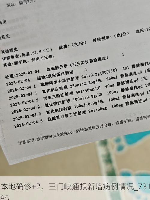 本地确诊+2，三门峡通报新增病例情况_73185