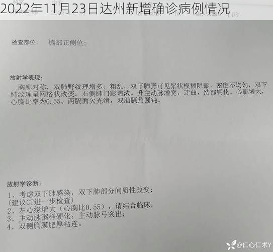 2022年11月23日达州新增确诊病例情况