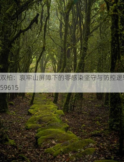 双柏：哀牢山屏障下的零感染坚守与防控逻辑_59615