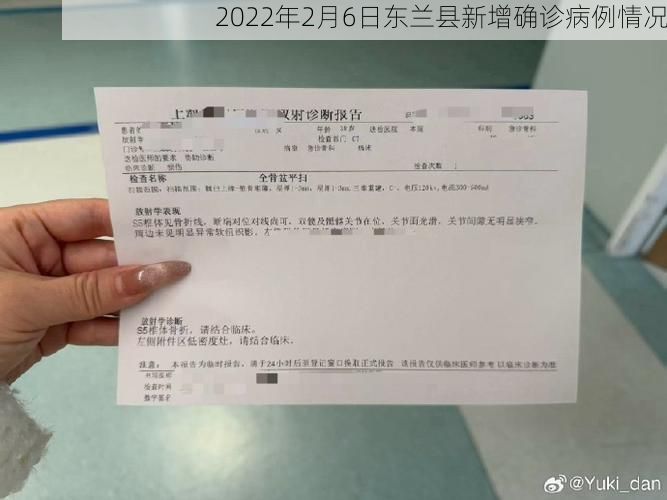2022年2月6日东兰县新增确诊病例情况
