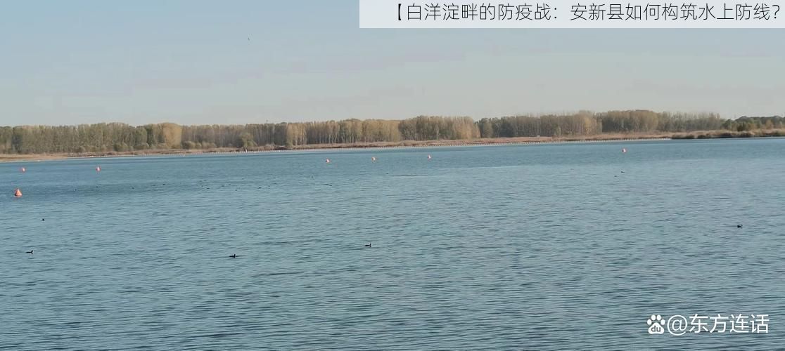【白洋淀畔的防疫战：安新县如何构筑水上防线？】