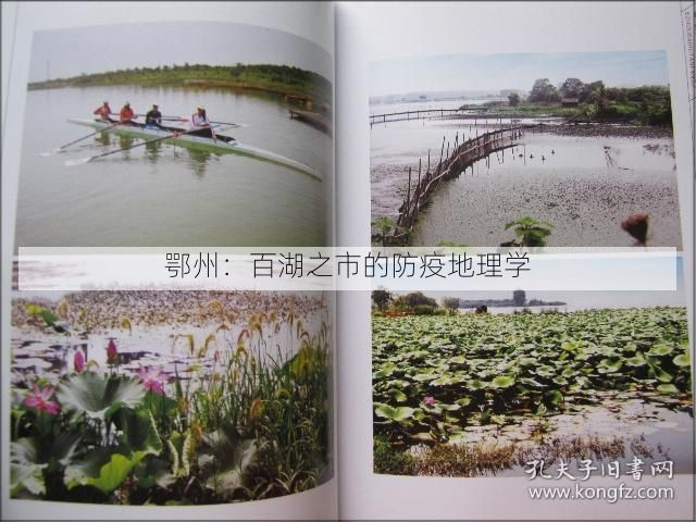 鄂州：百湖之市的防疫地理学