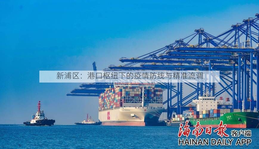 新浦区：港口枢纽下的疫情防线与精准流调
