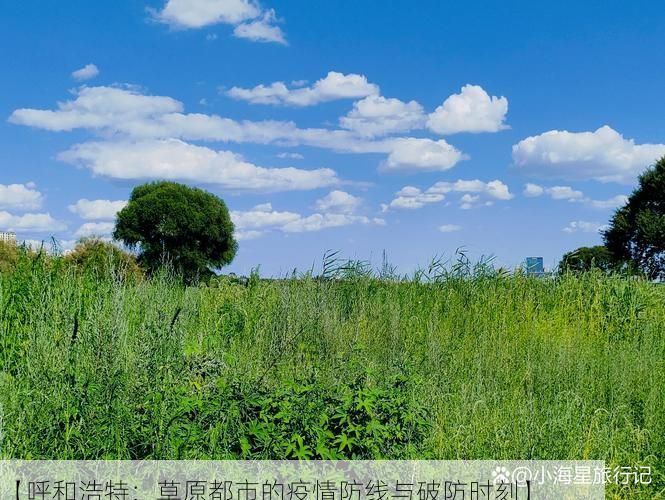 【呼和浩特：草原都市的疫情防线与破防时刻】
