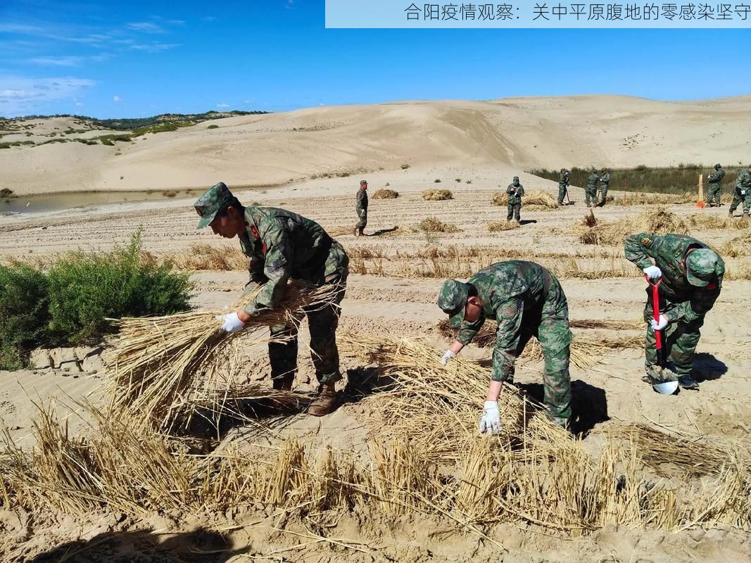 合阳疫情观察：关中平原腹地的零感染坚守