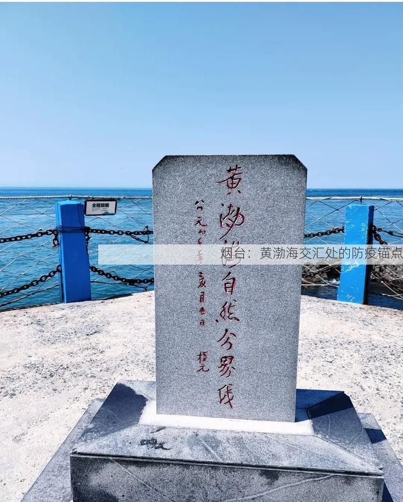 烟台：黄渤海交汇处的防疫锚点