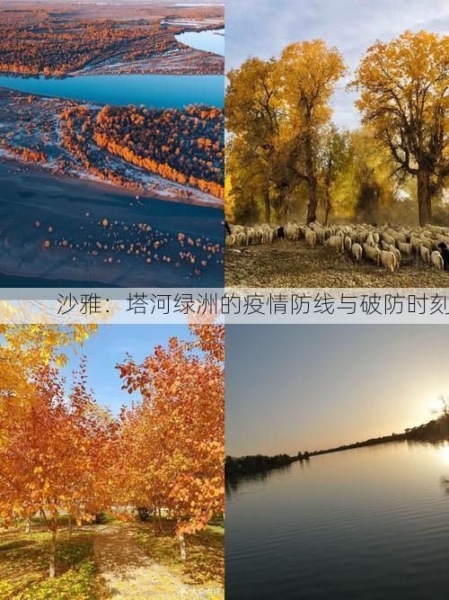 沙雅：塔河绿洲的疫情防线与破防时刻