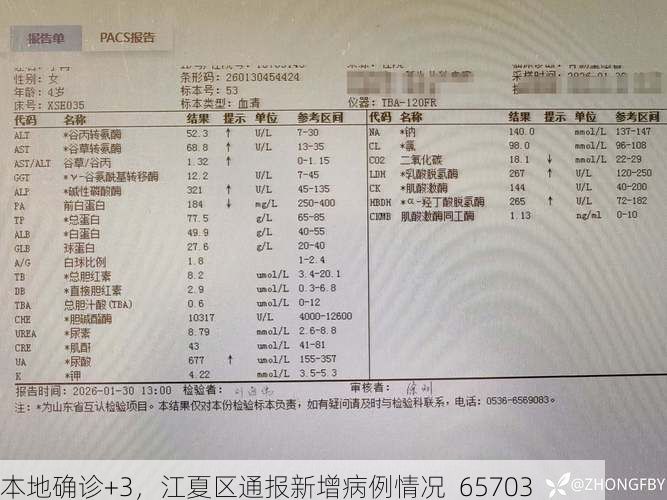 本地确诊+3，江夏区通报新增病例情况_65703