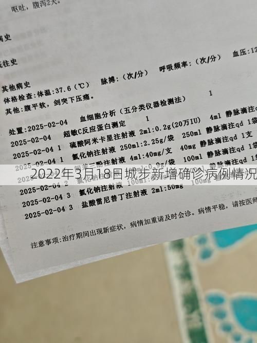 2022年3月18日城步新增确诊病例情况