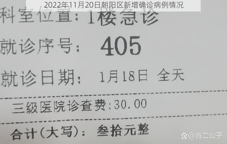2022年11月20日朝阳区新增确诊病例情况