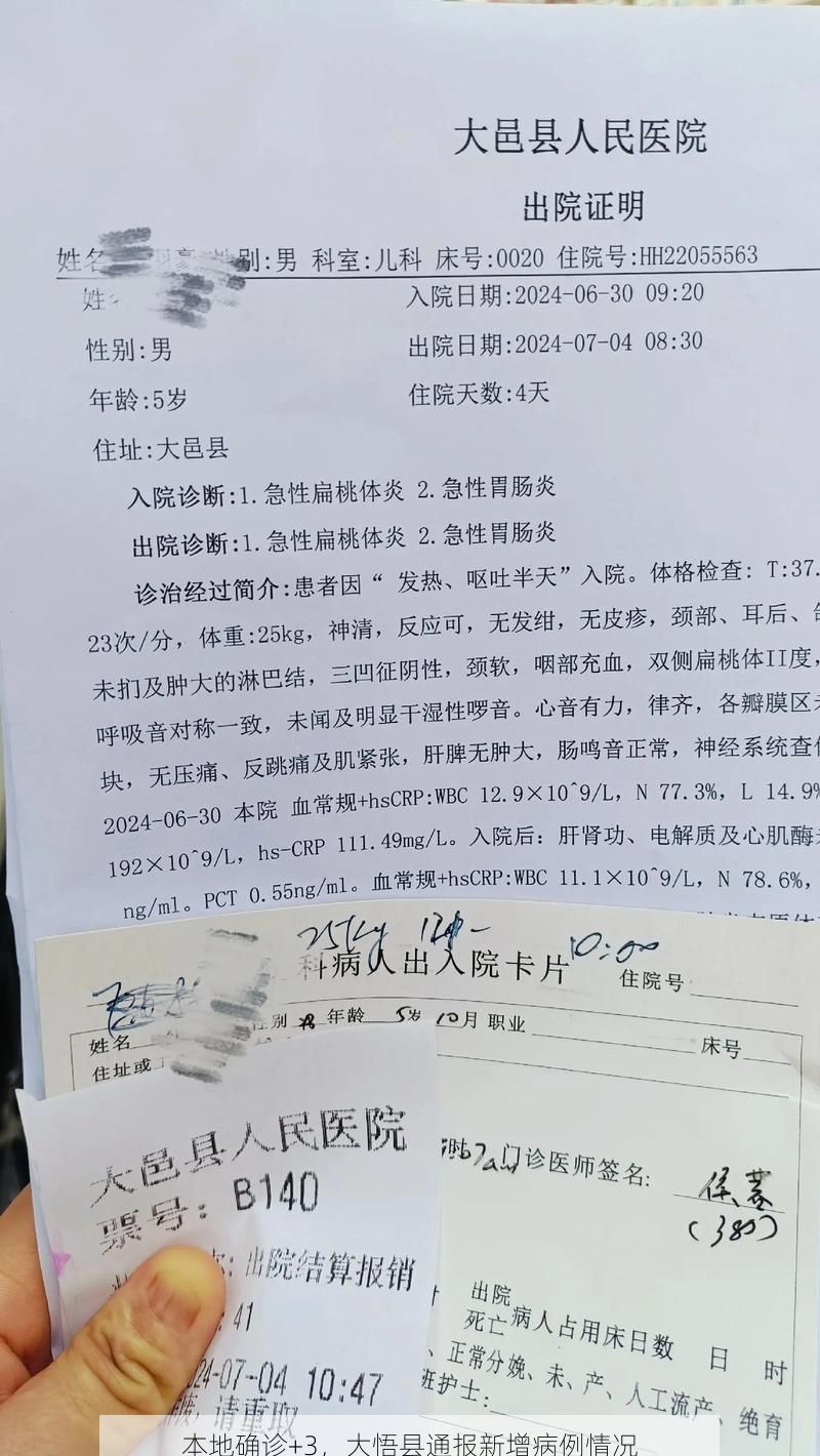 本地确诊+3，大悟县通报新增病例情况