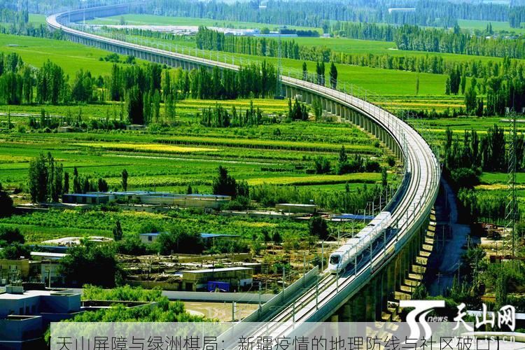 【天山屏障与绿洲棋局：新疆疫情的地理防线与社区破口】