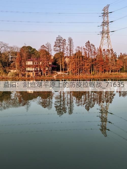 益阳：洞庭湖平原上的防疫拉锯战_71635