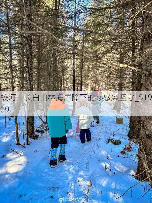 蛟河：长白山林海屏障下的零感染坚守_51909