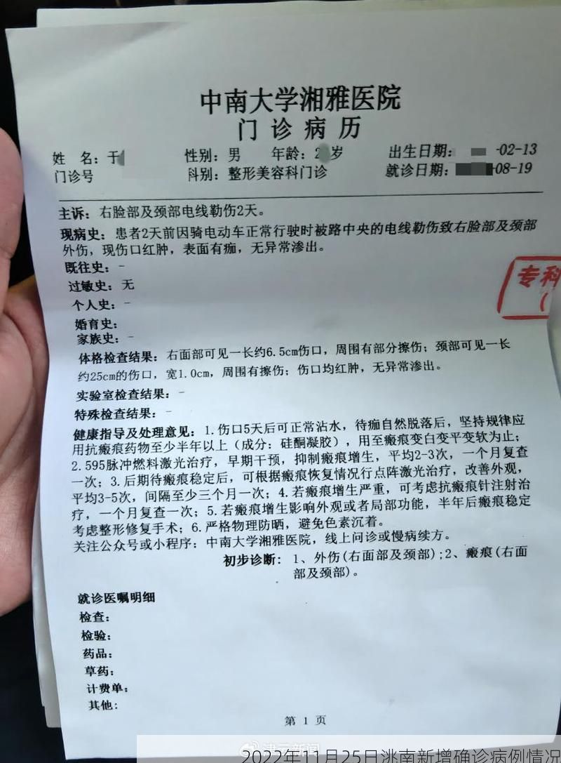 2022年11月25日洮南新增确诊病例情况